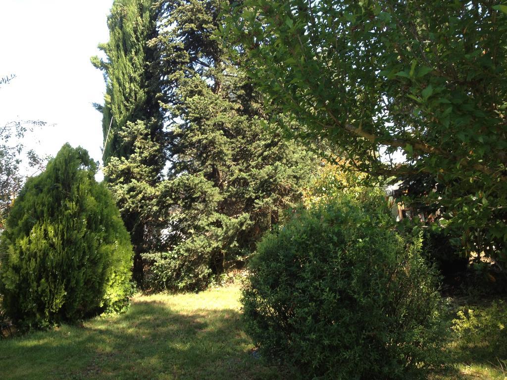 Il Belvedere Di Roccavo Villa Castiglion Fiorentino Exterior foto